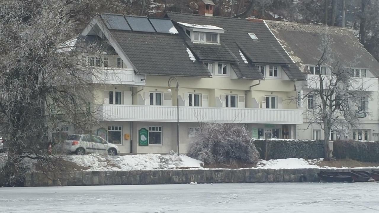 Apartmán Pletna View